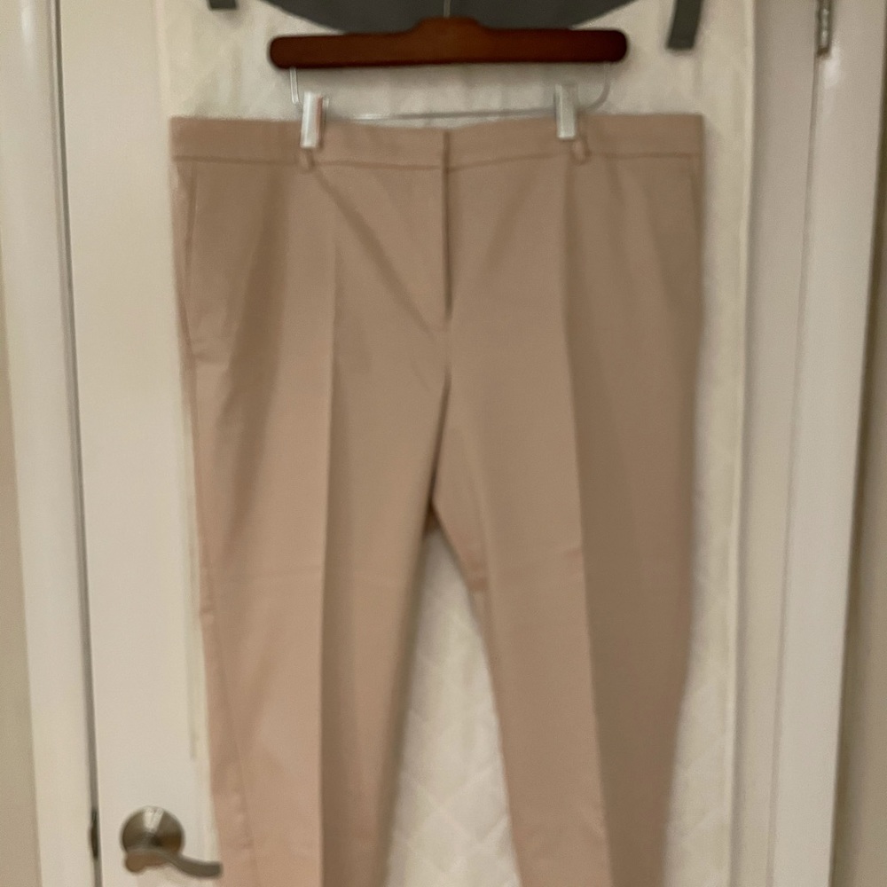 Ann Taylor Dress Pants